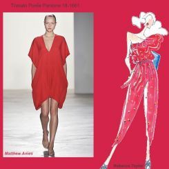 Pantone spring 2010 fashion colour report: Tomato Purée