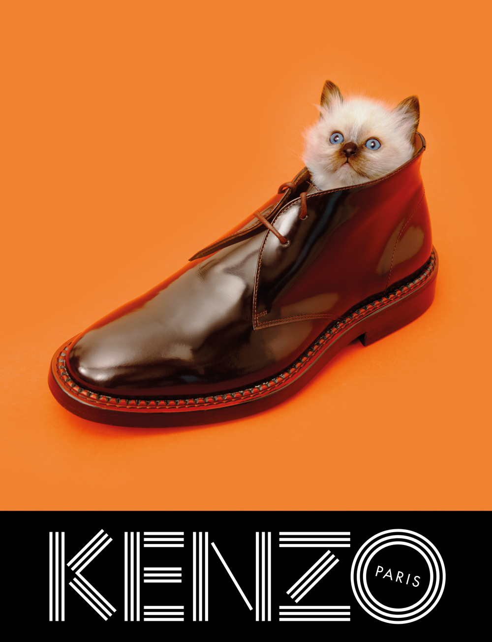 Kenzo fall/winter 2013 ad campaign by Maurizio Cattelan, Pierpaolo Ferrari Kenzo fall/winter 2013 ad campaign by Maurizio Cattelan, Pierpaolo Ferrari