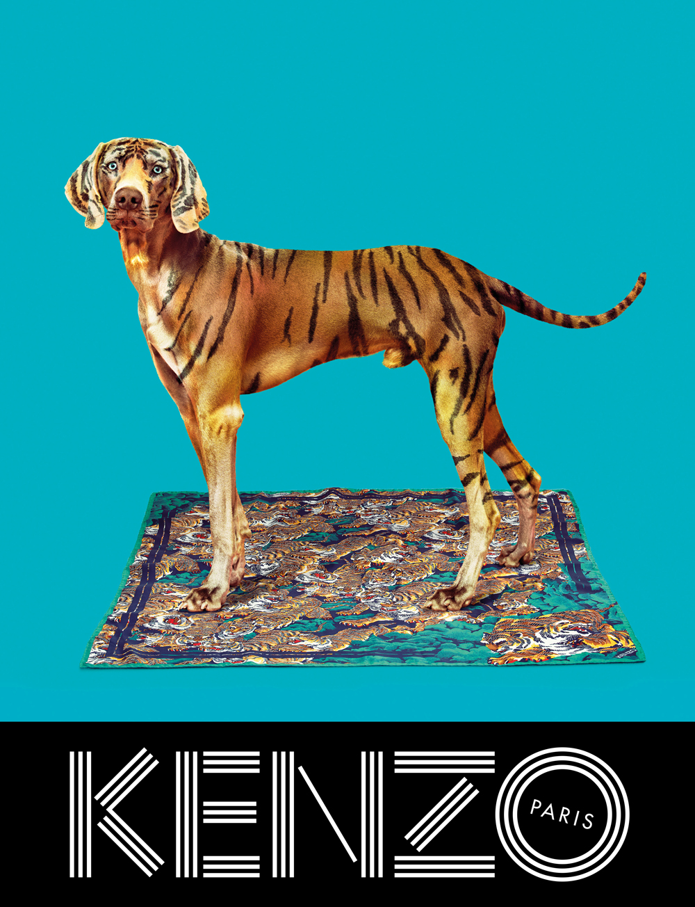Kenzo fw 2013 ad campaign by Pierpaolo Ferrari, Micol Talso Kenzo fw 2013 ad campaign by Pierpaolo Ferrari, Micol Talso