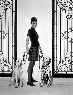 Audrey Style