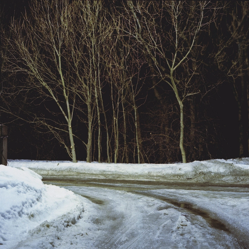 Andris Feldmanis, Trees