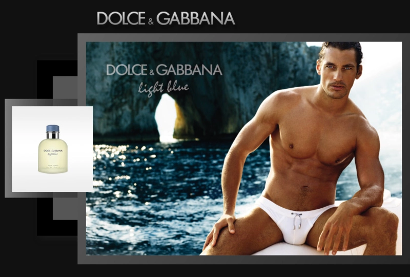 Dolce & Gabbana fragrance