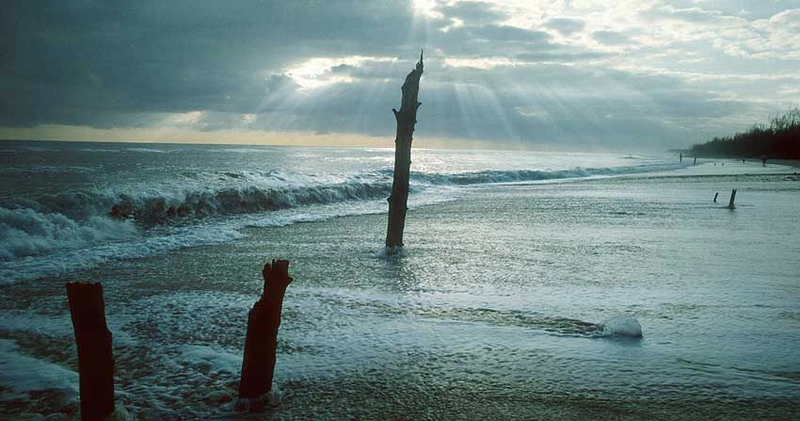 Peter Lippmann, Florida