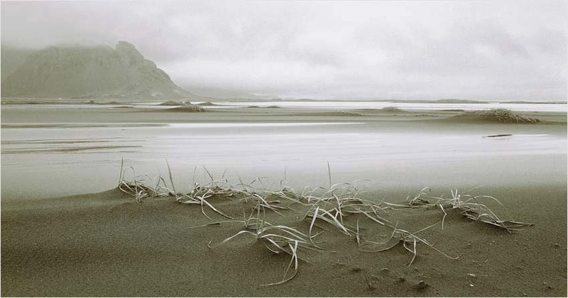 Peter Lippmann, Iceland