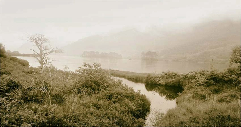 Peter Lippmann, Scotland