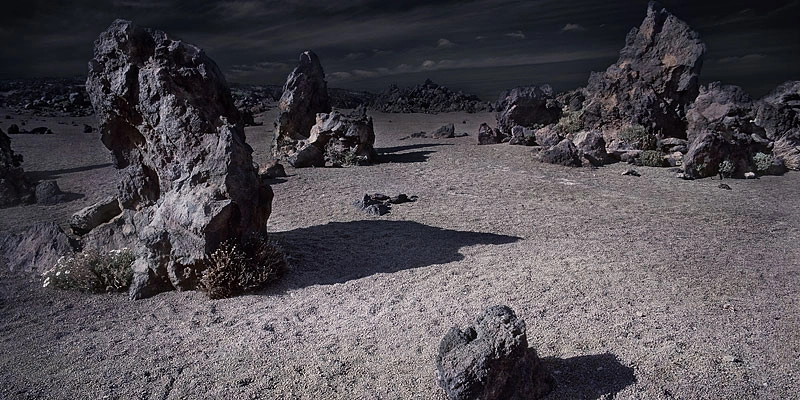 Peter Lippmann, Tenerife