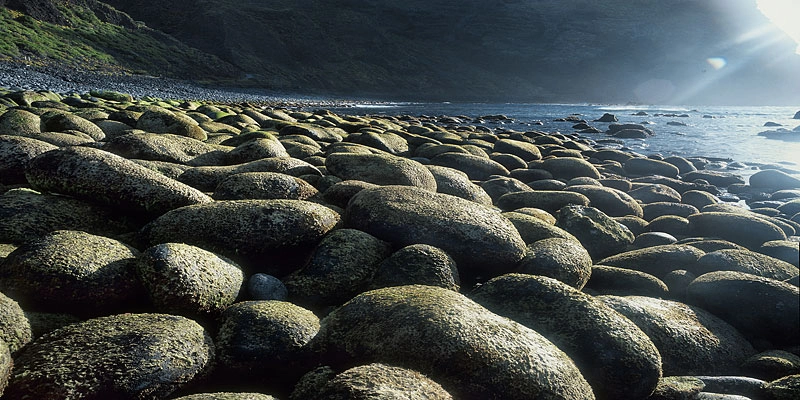 Peter Lippmann, Tenerife