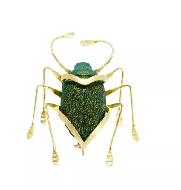 Scarab Jewelry Collection