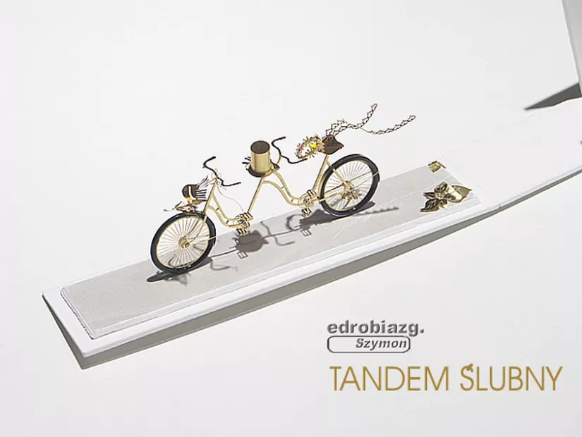 Szymon Klimek brass double bicycle