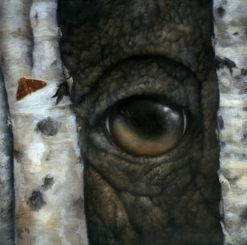 Dan May, Between You and Eye