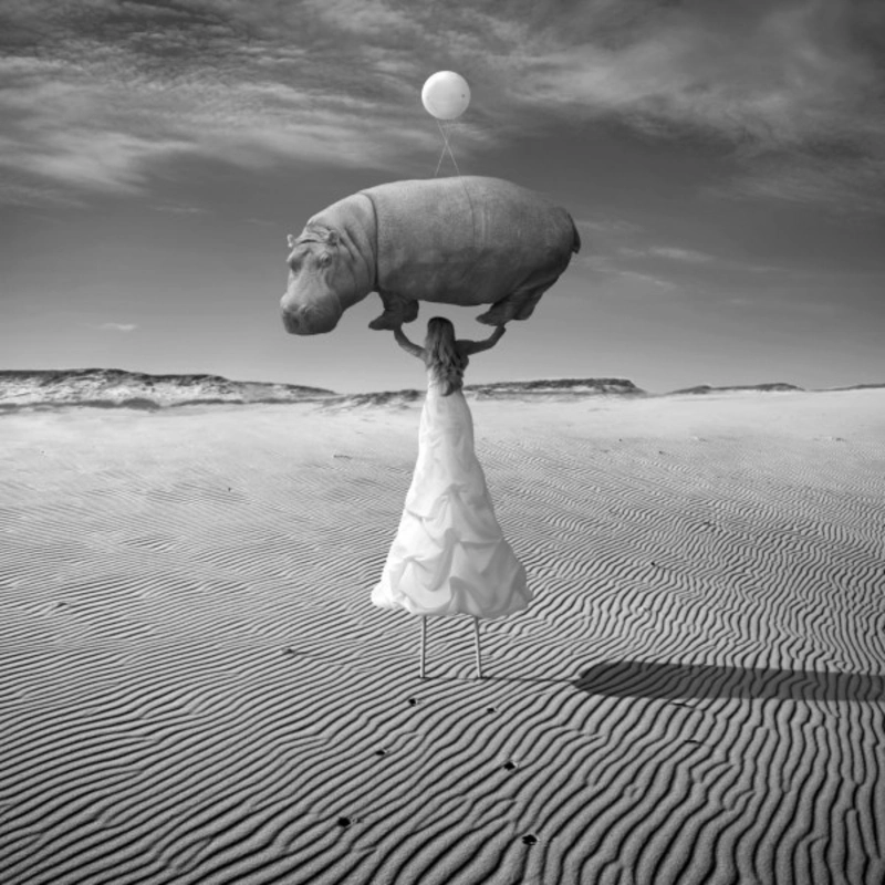 Dariusz Klimczak photography