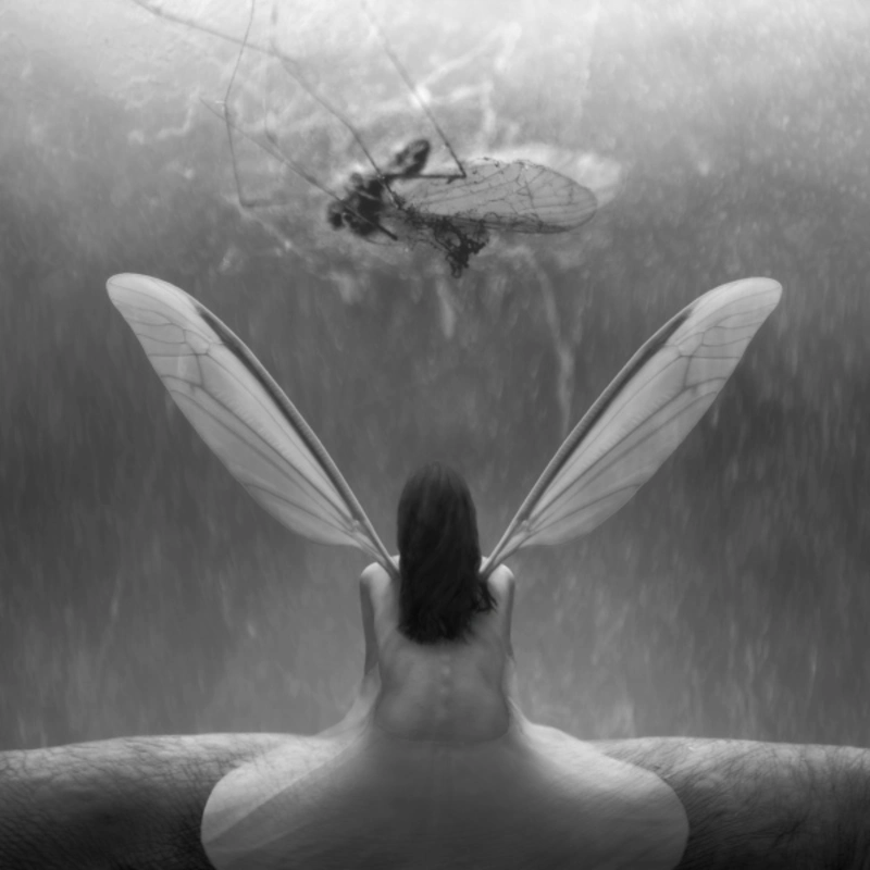 Dariusz Klimczak photography