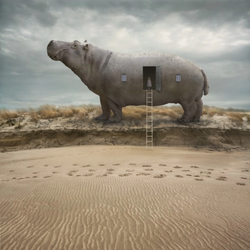 Dariusz Klimczak photography