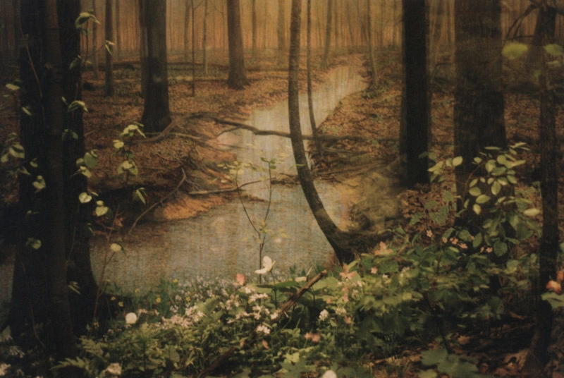 Debbie Carlos, Human Nature
