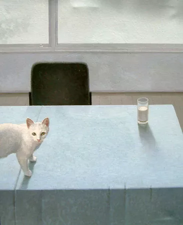 Kuang, Cat in the room