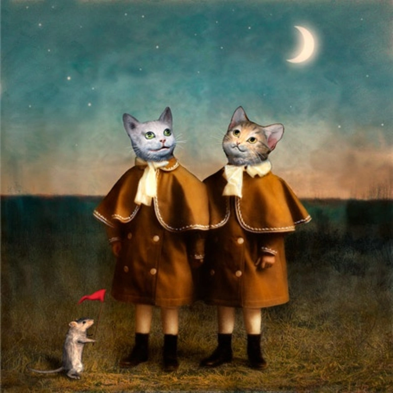Distracted cats, 2003, by Maggie Taylor