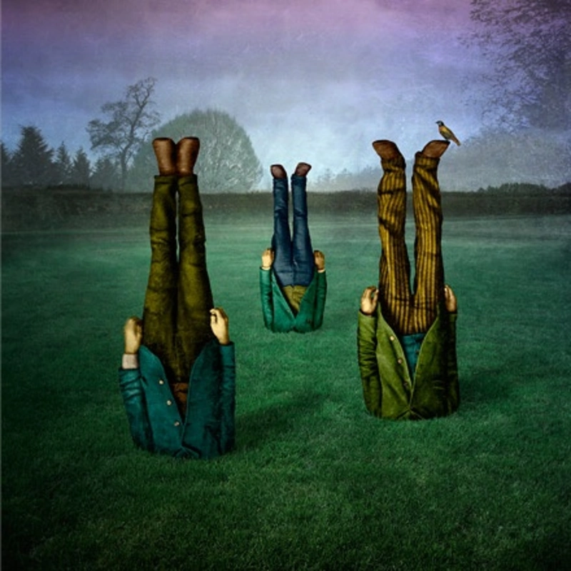 Garden, 2005, by Maggie Taylor