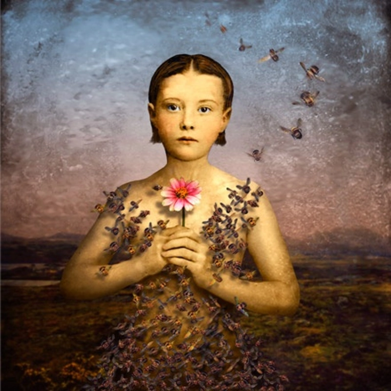 Girl in a bee dress, 2004, by Maggie Taylor