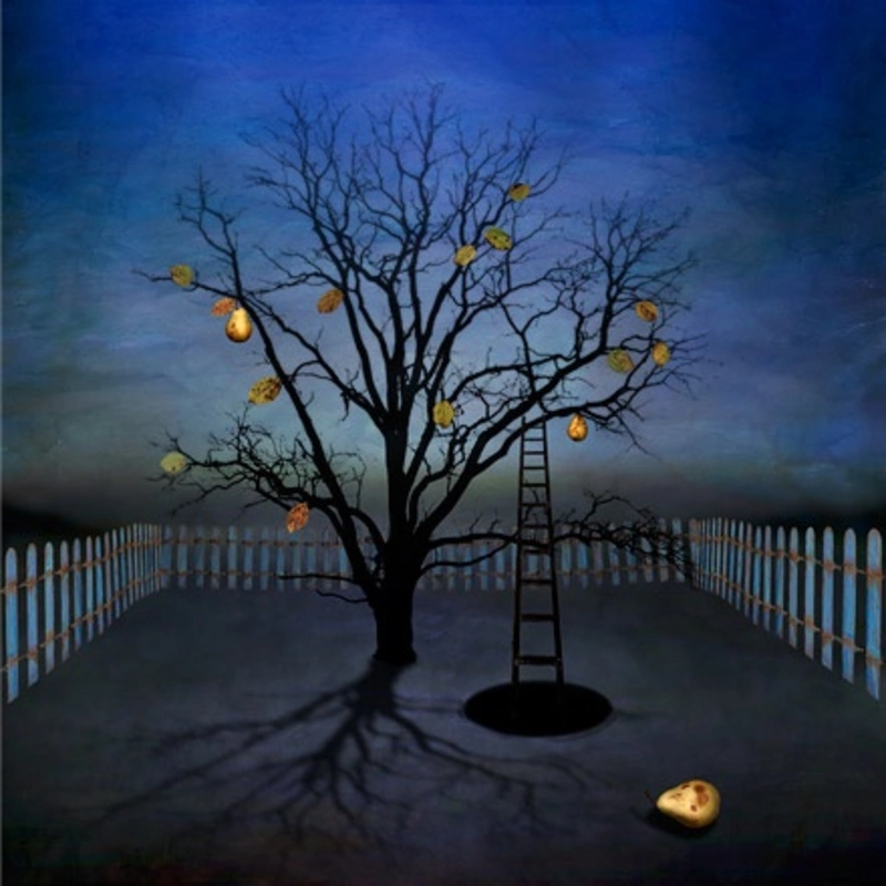 Night garden, 2000, by Maggie Taylor