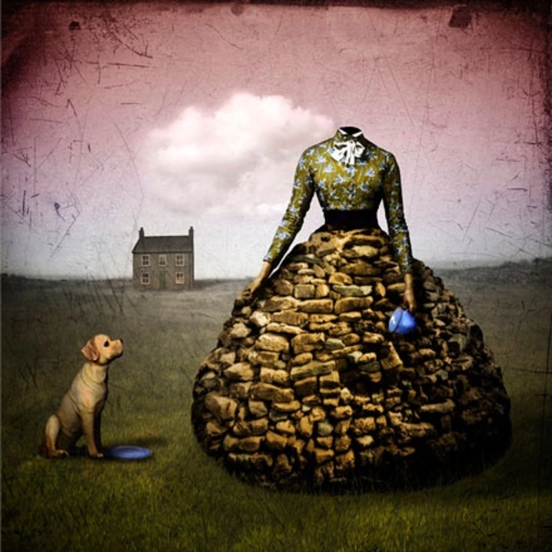 Woman with a stone skirt, 2005, by Maggie Taylor