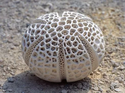 Medek stone pollen, 2003