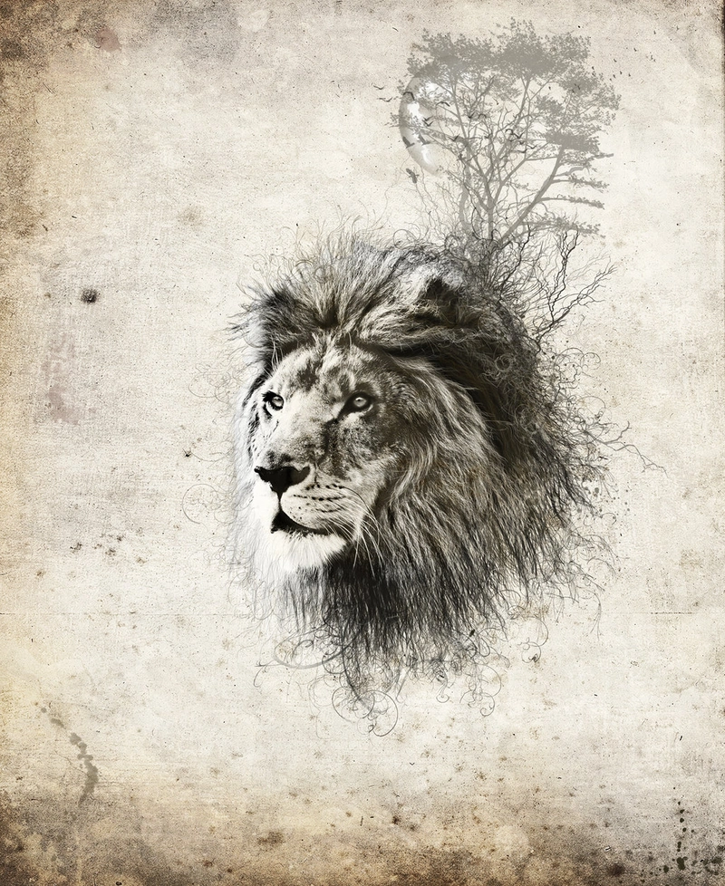 Nastplas, The King