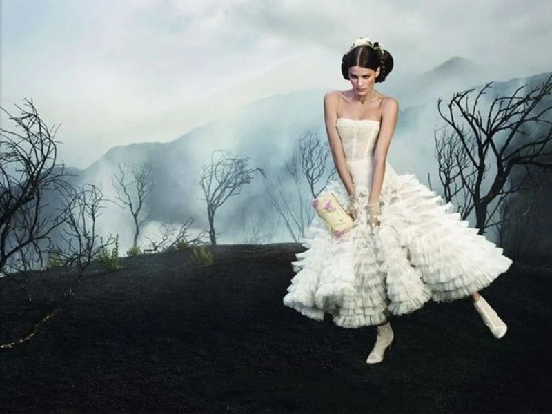 Roberto Cavalli Isabeli 2008