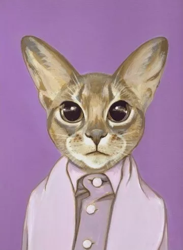Rose by Heather Mattoon, Cats in Clothes