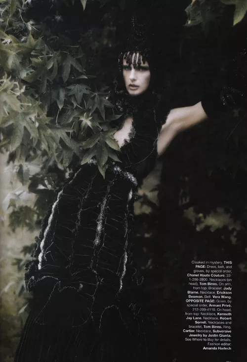 Harper's Bazaar Karl Lagerfeld