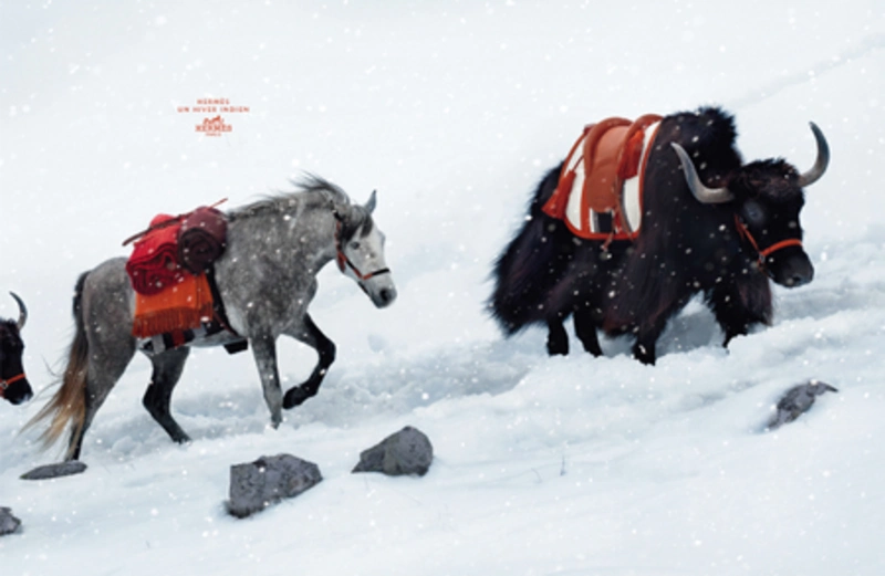 Hermès fall/winter 2008/09 ad campaign
