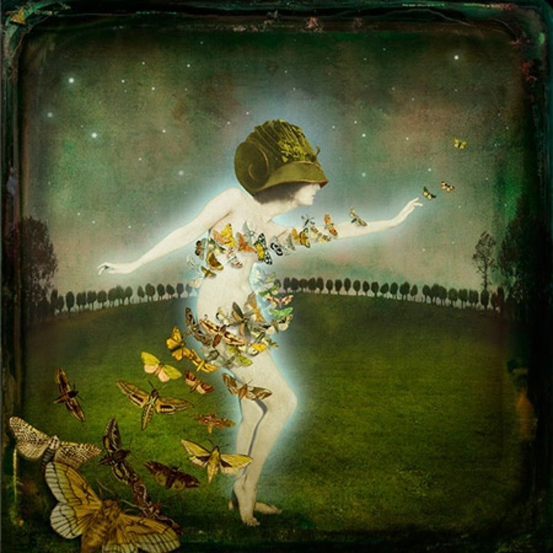 The Experience, 2009, by Maggie Taylor