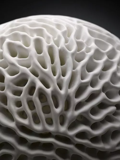 Tomáš Medek, Pollen artwork