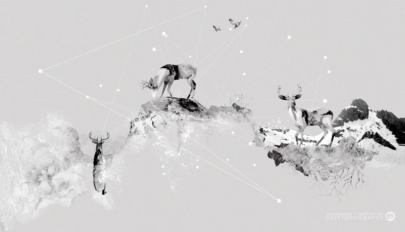 Nastplas, Aria Desktopography, 2010