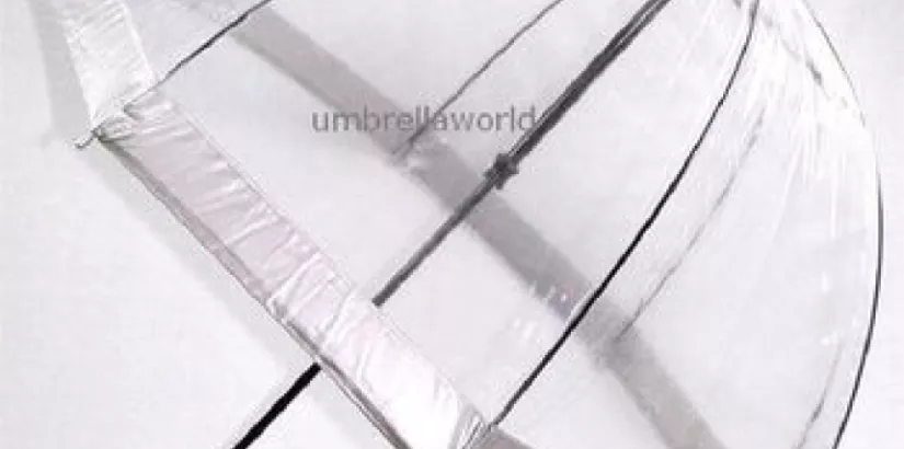 Bubble Umbrella
