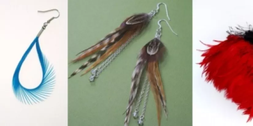 Feather accessories
