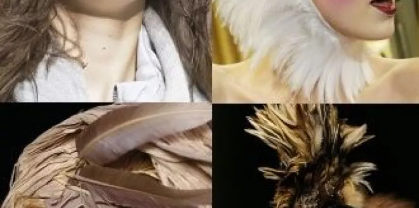 Feathery hats