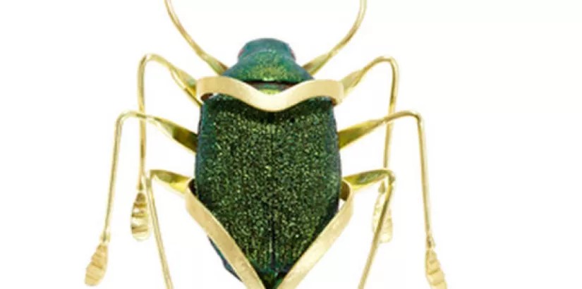 Scarab Jewelry Collection
