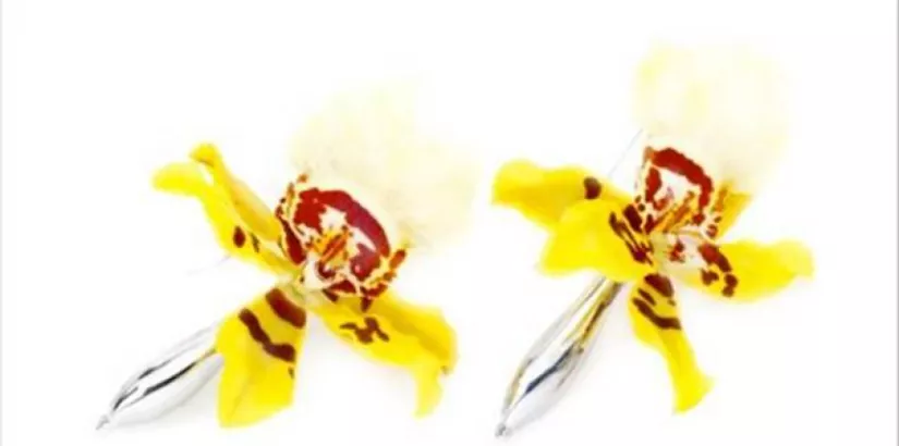 Vase Earrings
