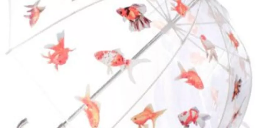 Big Fish Umbrella