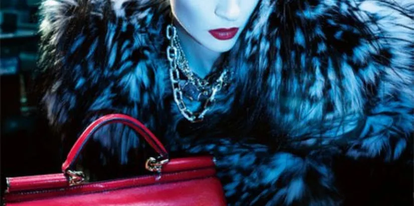 Dolce&Gabbana fall 2009 ad campaign bags