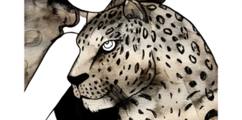 Cassandra Rhodin, Leopard