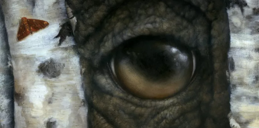 Dan May, Between you and Eye