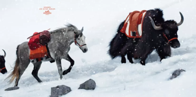 Hermès fall/winter 2008/09 ad campaign