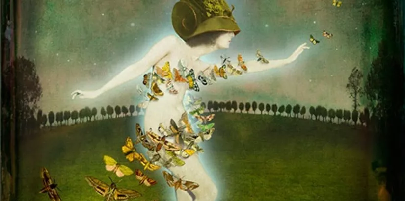 The Experience, 2009, by Maggie Taylor