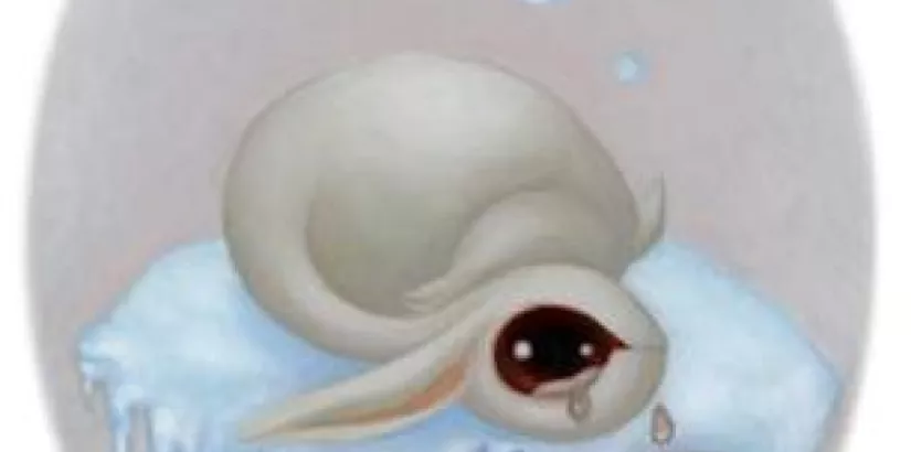 Miso, Teardrop 2