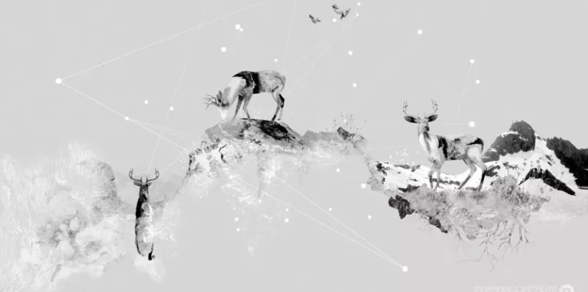 Nastplas, Aria Desktopography, 2010