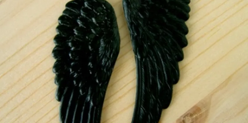 wing earrings