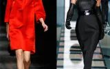 Fashion Trends