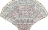 Clam Shell fine-crystal clutch
