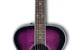 Daisy Acoustic Purple Guitar